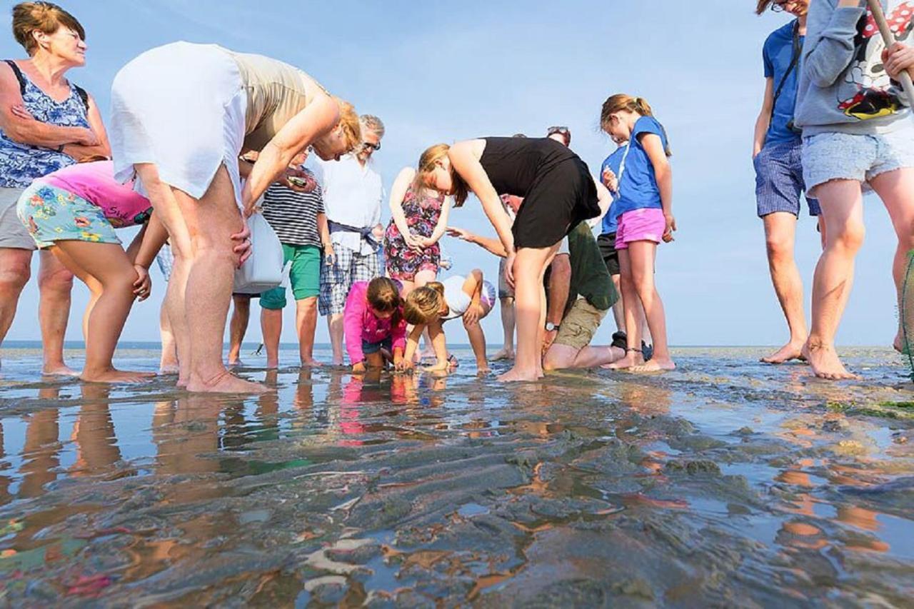 Chalet Op Camping Lauwersoog Met 3 Slaapkamers En Vaatwasser - Joycasa Eksteriør billede