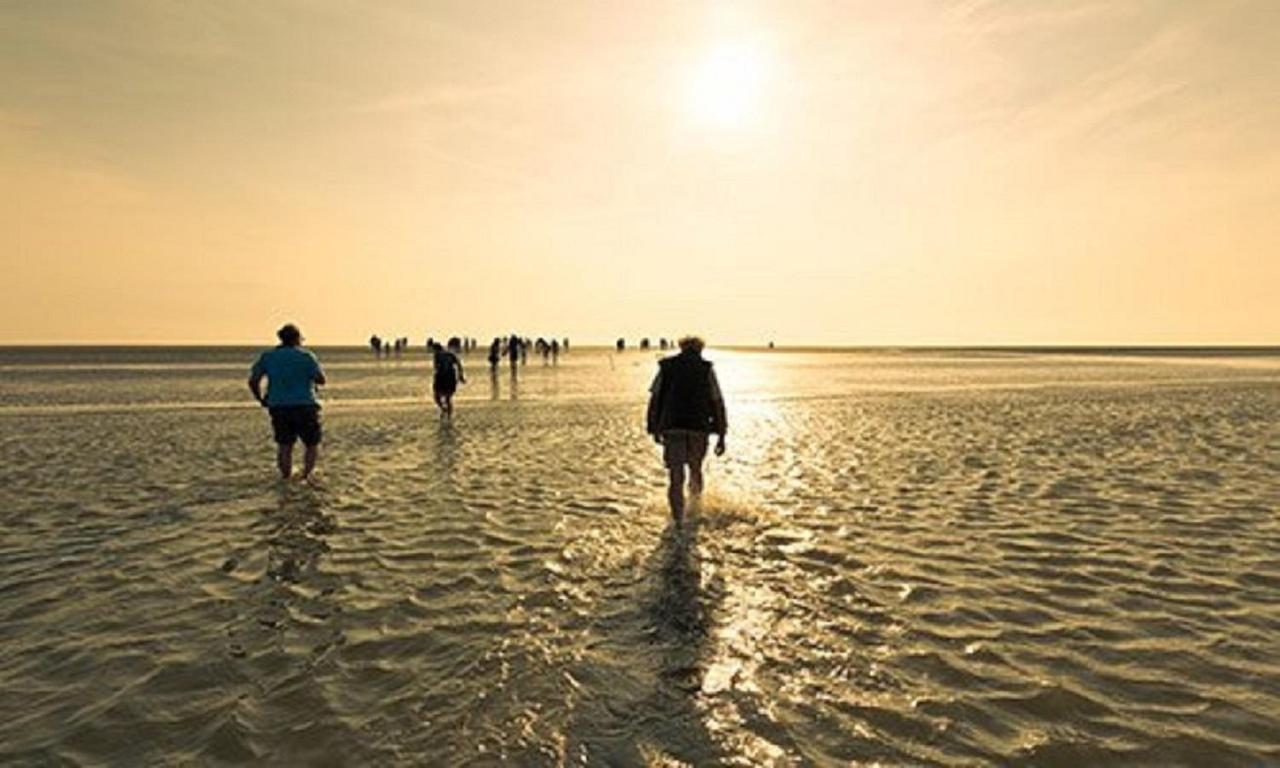 Chalet Op Camping Lauwersoog Met 3 Slaapkamers En Vaatwasser - Joycasa Eksteriør billede